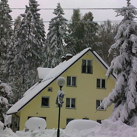 Apartamenty Grapa Szum Rzeki Parking Free Висла Екстериор снимка