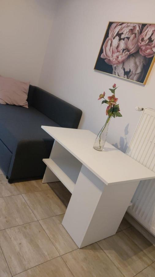 Apartamenty Grapa Szum Rzeki Parking Free Висла Екстериор снимка