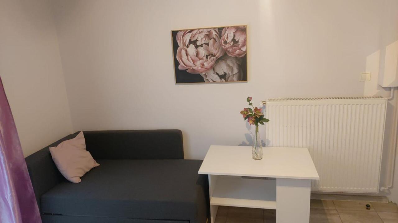 Apartamenty Grapa Szum Rzeki Parking Free Висла Екстериор снимка