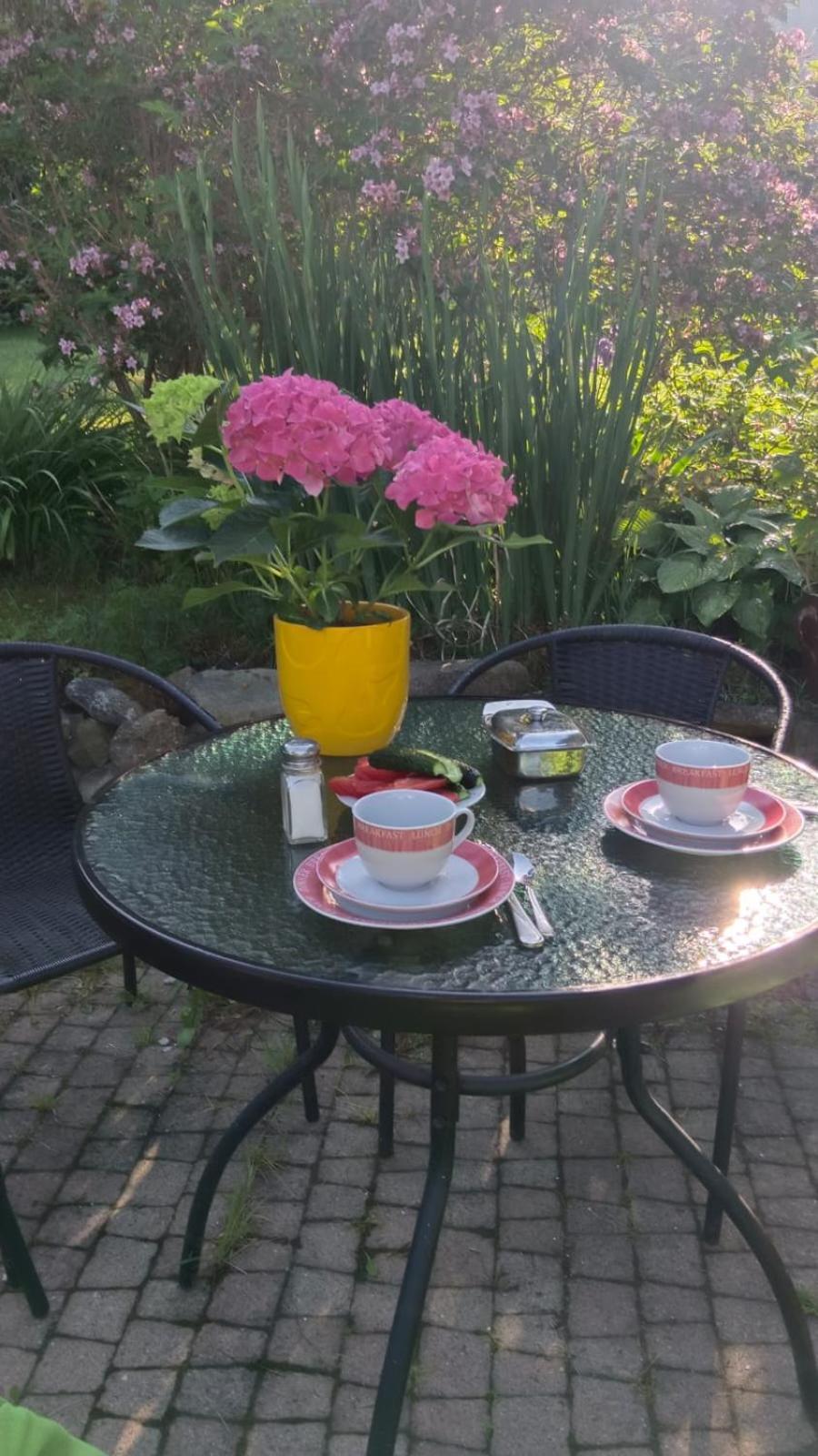 Apartamenty Grapa Szum Rzeki Parking Free Висла Екстериор снимка