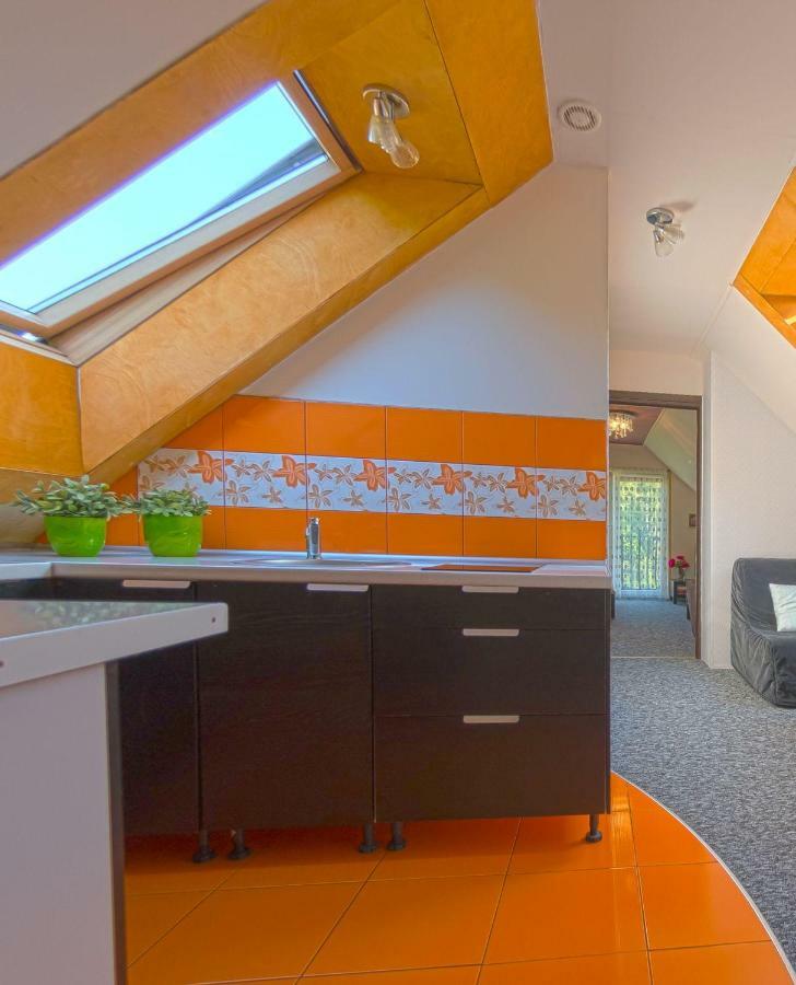 Apartamenty Grapa Szum Rzeki Parking Free Висла Екстериор снимка